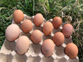 12 pastured eggs, min mass 700g