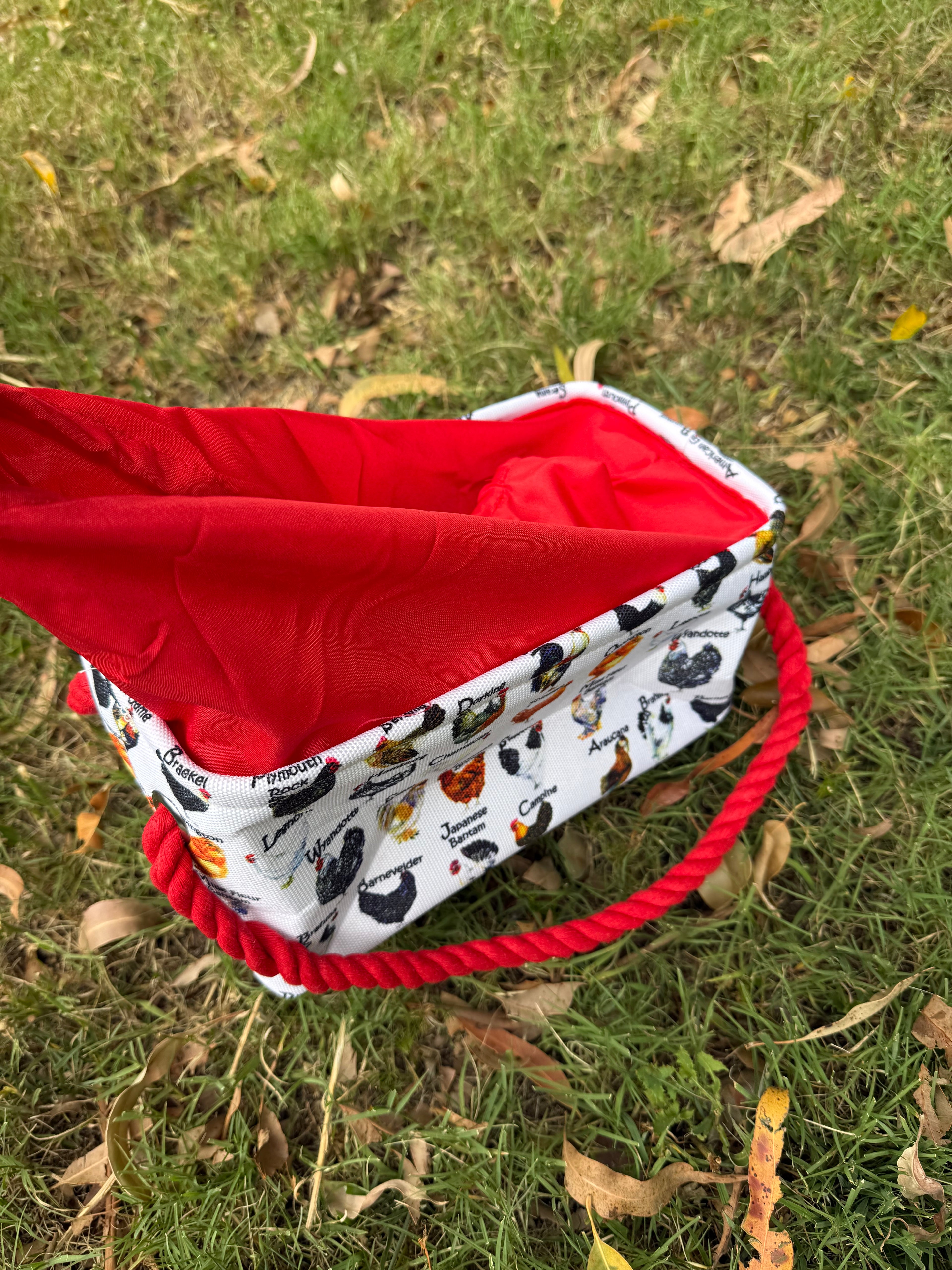 Extra large, Rectangular Egg Basket