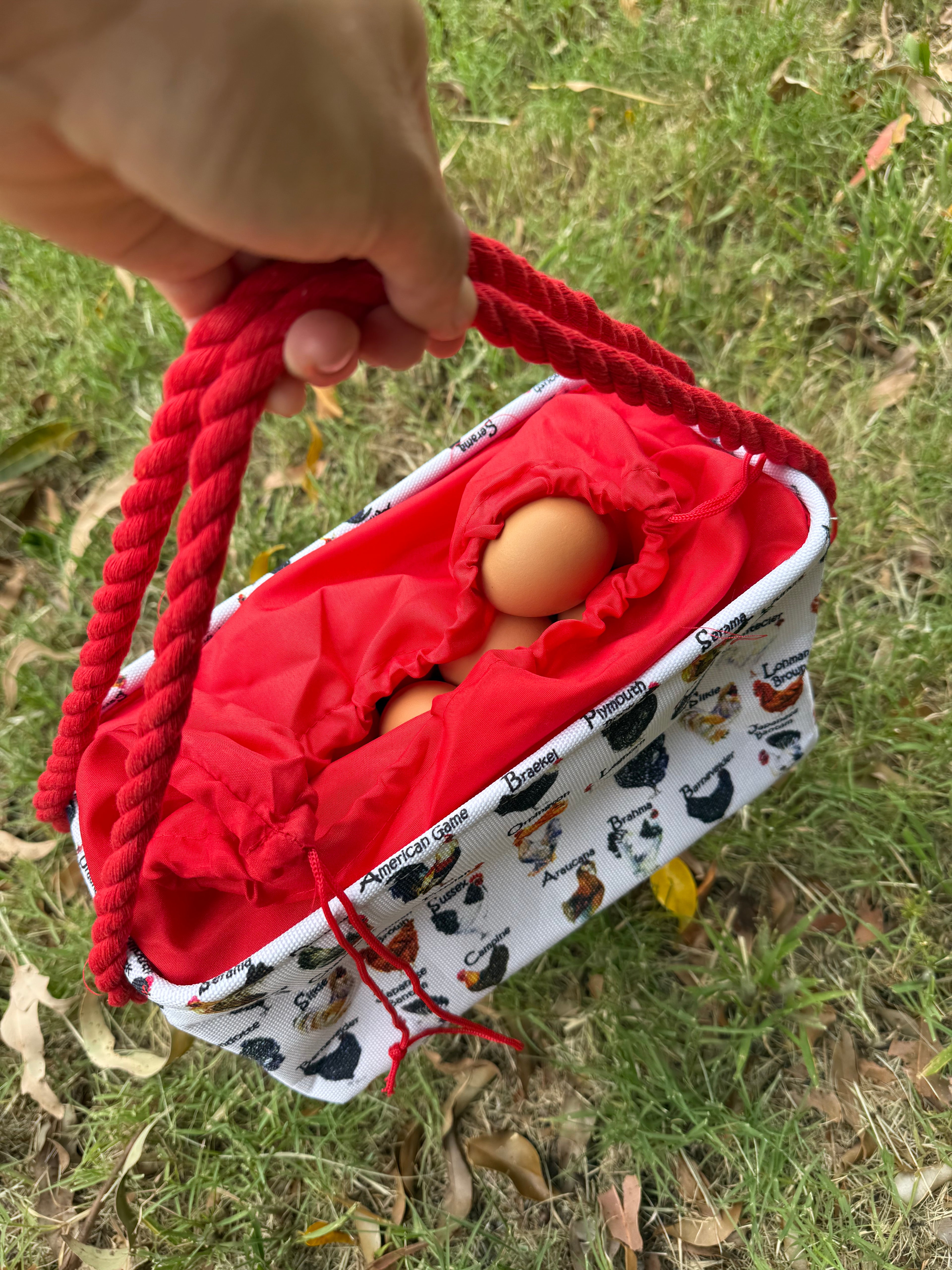 Extra large, Rectangular Egg Basket