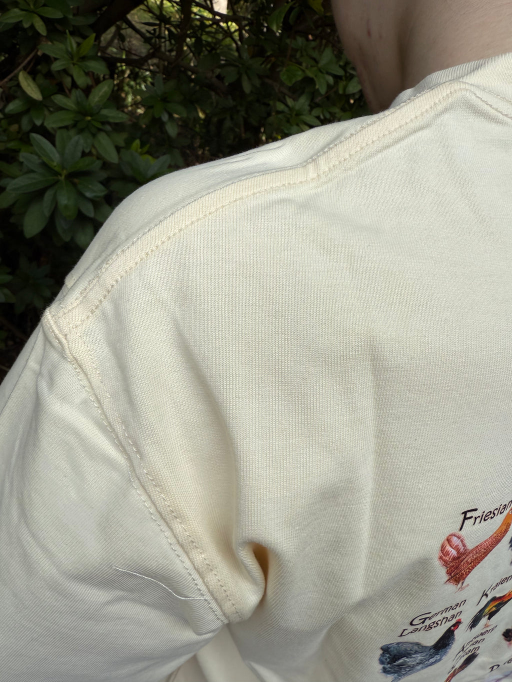 T-shirt "Which is Your Favourite Chicken?" - part 2