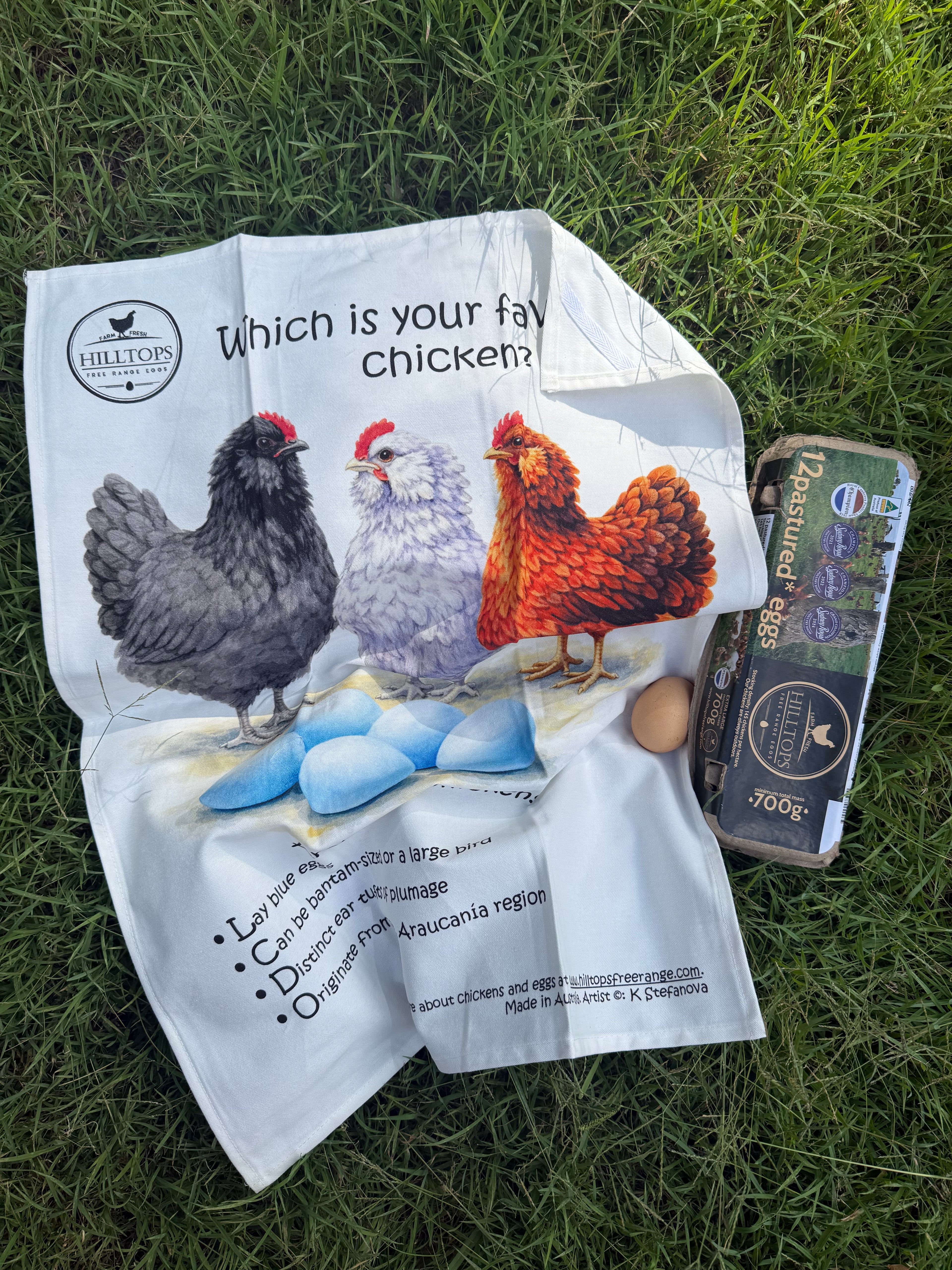 Tea towel: "Which is your favourite chicken - Araucana chickens"